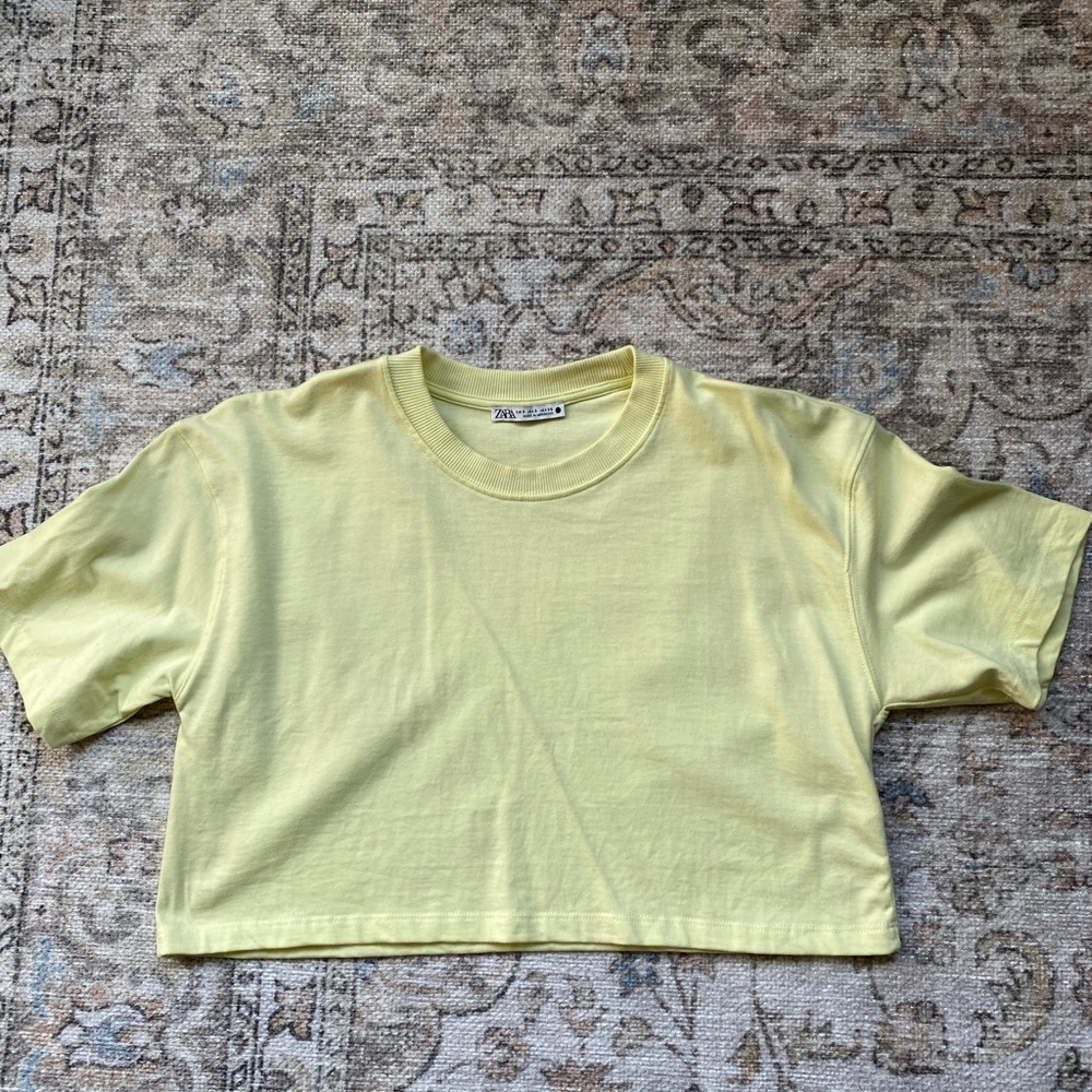 Zara hello crop top